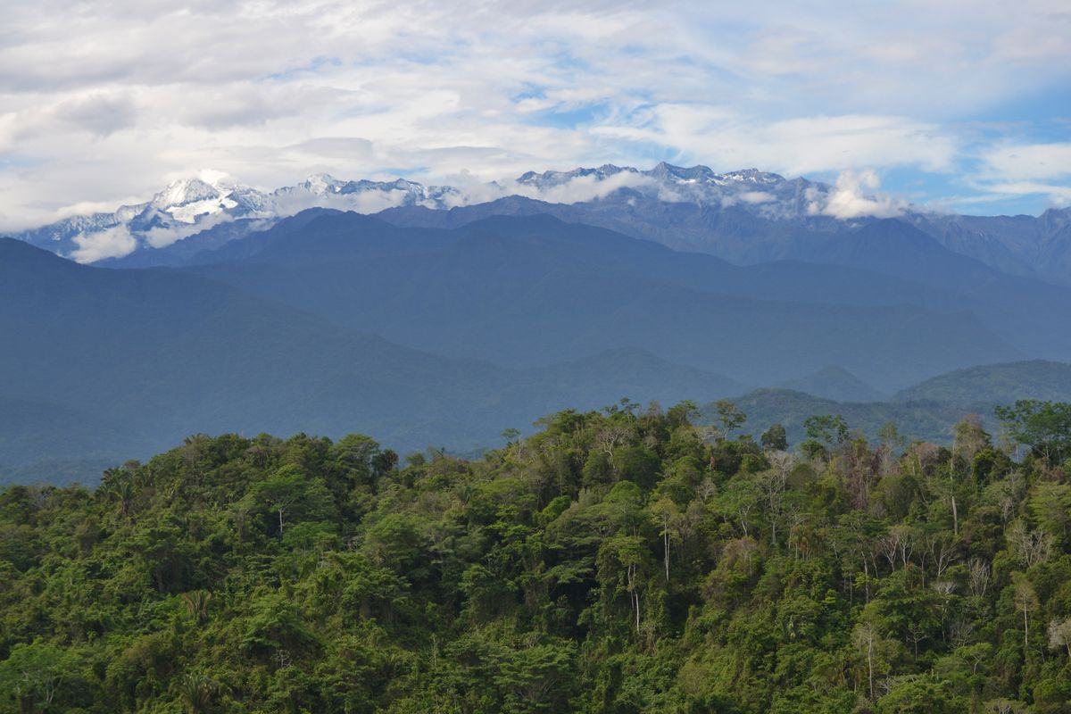 Los picos nevados de la Sierra sobre montañas cubiertas de bosque