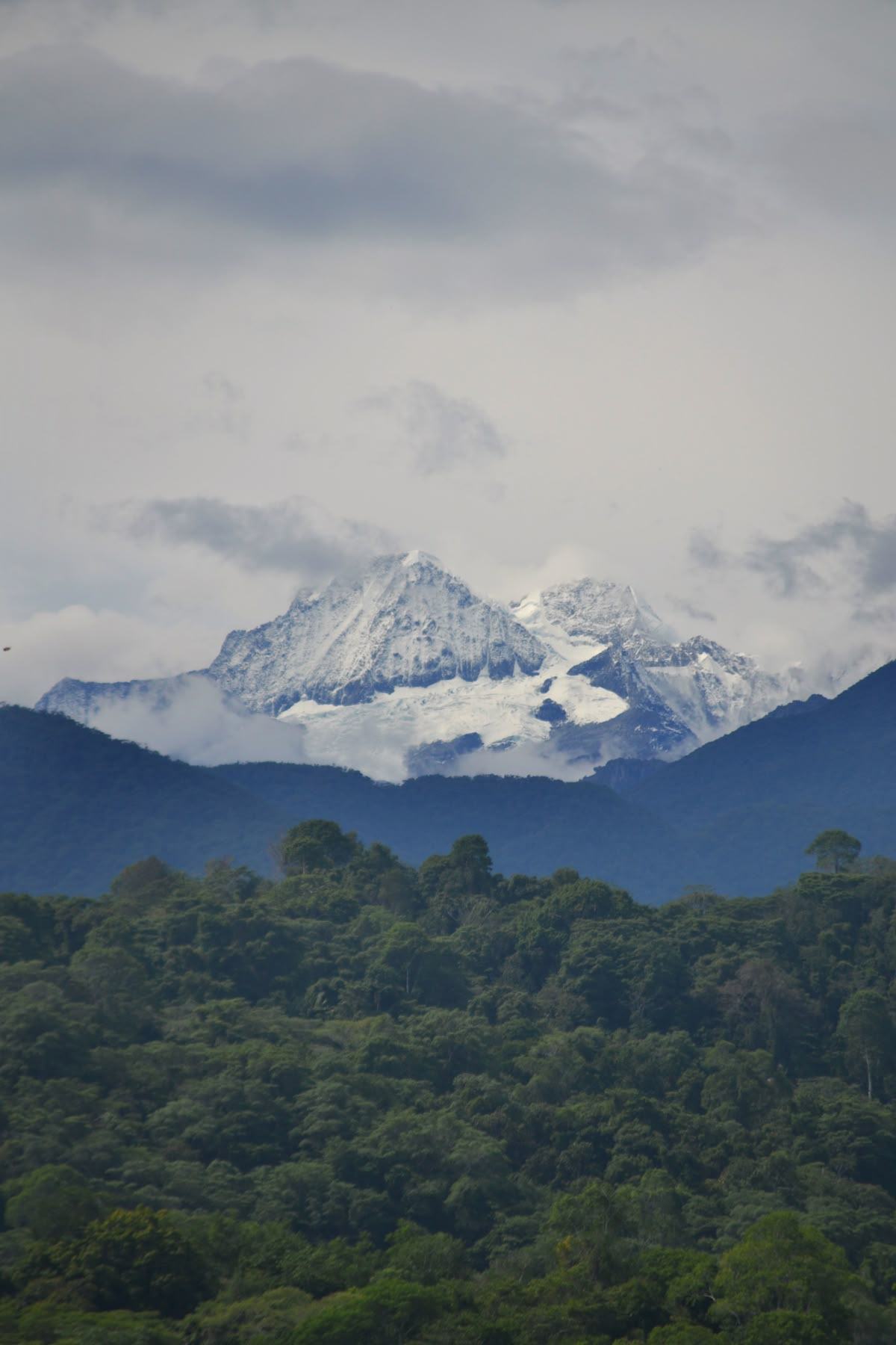 Pico nevado entre nubes sobre la selva